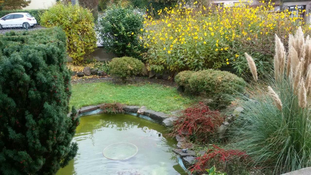 Gite "La Baloise" Colmar Exteriér fotografie